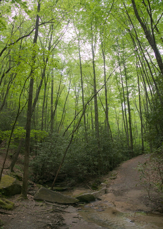 stream crossing